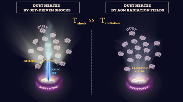 A sketch showing the two scenarios (heating from shocks, left) vs illumination by AGN radiation fields. Shock heats the dust to temperatures comparable to that derived from the JWST images.